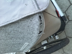 Croozer Fahrradanhänger  Bild 5