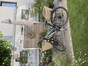 Damen Fahrrad 