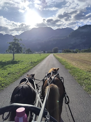 Suche Unterstellplatz für kleine Pony Kusche Bild 4