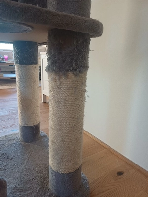 Kratzbaum groß Bild 4