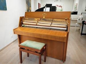 Schimmel Klavier-Gebrauchtinstrument mit 5 Jahre Garantie-kostenlose Lieferung (*) Bild 7