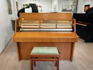 Schimmel Klavier-Gebrauchtinstrument mit 5 Jahre Garantie-kostenlose Lieferung (*) Bild 8