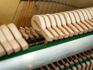 Eterna Klavier, Made by Yamaha-Gebrauchtinstrument mit 5 Jahre Garantie-kostenlose Lieferung (*) Bild 8