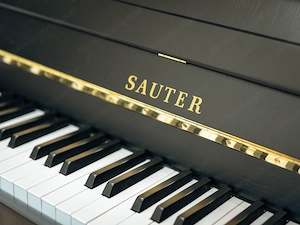 Werkstattgeprüftes Sauter Klavier, mit Renner Mechanik-5 Jahre Garntie-Gratis Lieferung (*) Bild 9