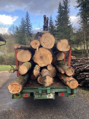 Rückewagen, Kranwagen, Hiab, Blockwagen, Holzwagen Bild 2
