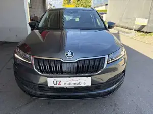 Skoda Karoq Bild 2