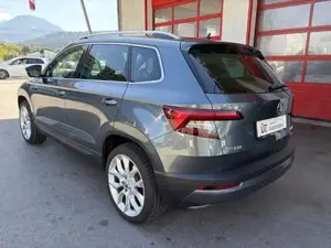 Skoda Karoq Bild 4