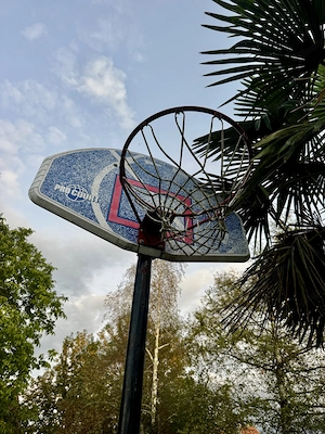 Basketball Korb 