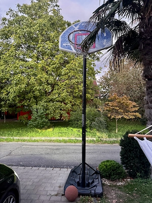 Basketball Korb  Bild 2