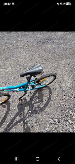 Kinderfahrrad Dinoti Bild 4