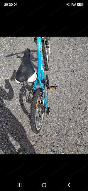 Kinderfahrrad Dinoti Bild 2