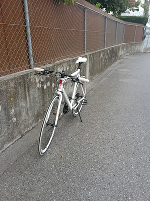 KCP Marathon Speedbike  Bild 3