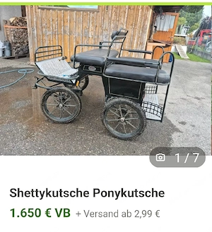 Shetty  Ponykutsche Bild 4