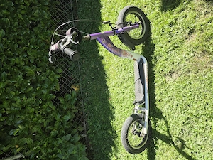 Trottroller von BikeStar
