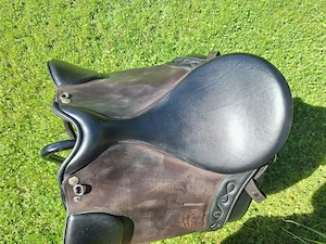 Ibero Dressage Andaluz zu verkaufen Bild 2