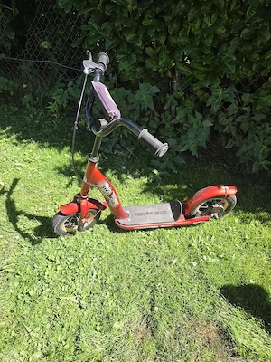 Trottroller in von BikeStar Bild 2