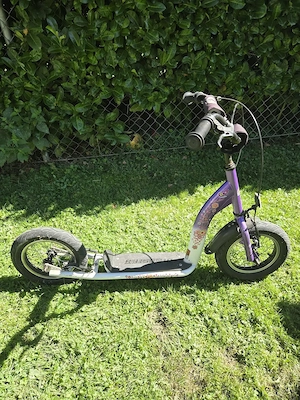 Trottroller von BikeStar
