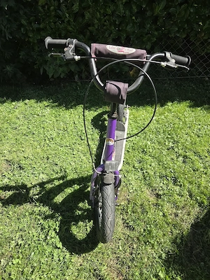 Trottroller von BikeStar Bild 2
