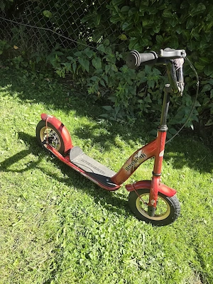 Trottroller in von BikeStar
