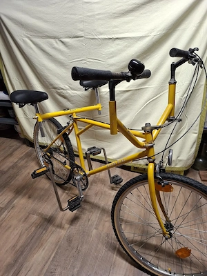 Buddy Bike  Tandem Rarität