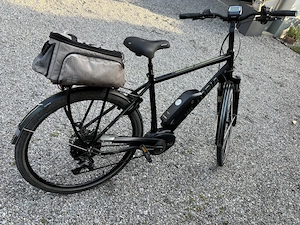 Victoria Herren E -Bike  Bild 4