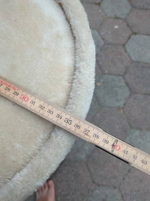 Kratztonne Katze Bild 3