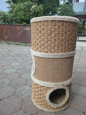 Kratztonne Katze Bild 4
