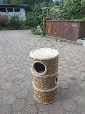 Kratztonne Katze