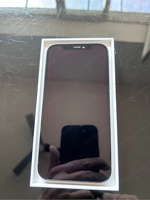 iPhone 12 100 % Akkuleistung Bild 6