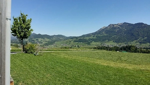 Wohnung in Schwarzenberg Bild 8