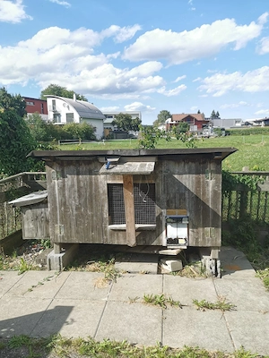 Hühnerstall mit Elektrischen Tor 