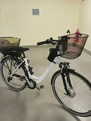 Damen E-Bike Bild 2