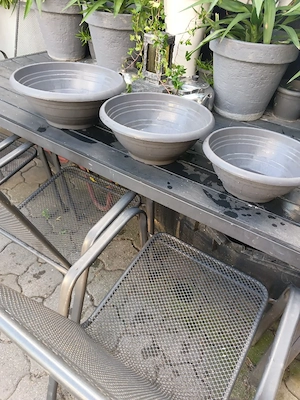 3 er Set PflanzSchalen  Bild 2