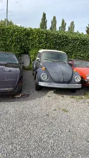Gesuche Auto