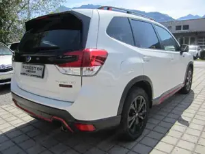 Subaru Forester Bild 6