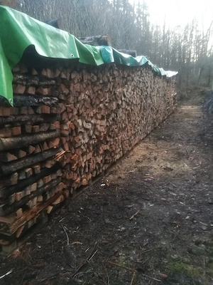 Brennholz 