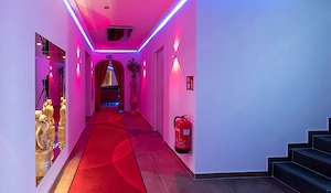 Studio Linzer Str. 226  Bild 3