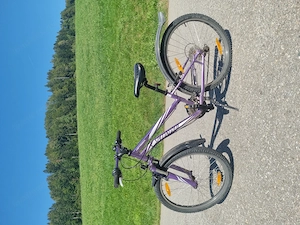 Kinderfahrrad 24 Zoll Bild 2