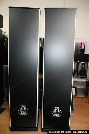 T+A Criterion TCD 110S High End Lautsprecher  Bild 4