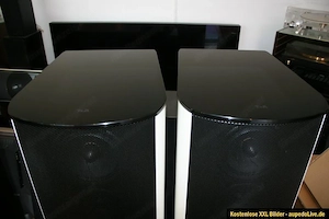 T+A Criterion TCD 110S High End Lautsprecher  Bild 7