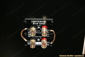 T+A Criterion TCD 110S High End Lautsprecher  Bild 3