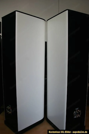 T+A Criterion TCD 110S High End Lautsprecher  Bild 5