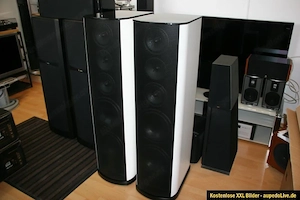 T+A Criterion TCD 110S High End Lautsprecher  Bild 2