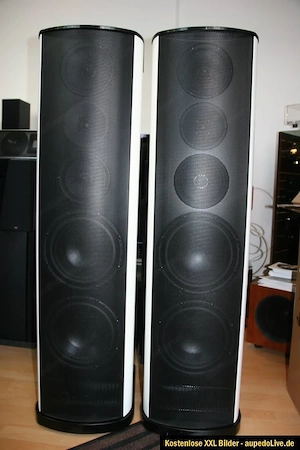 T+A Criterion TCD 110S High End Lautsprecher  Bild 8