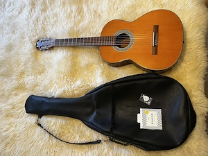 Klassische Gitarre, Konzertgitarre