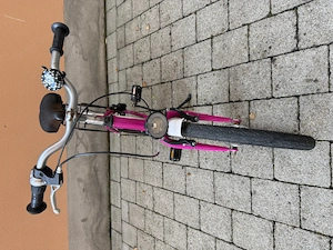 Kinderfahrrad Stabil 20 Zoll mit 3 Gangschaltung Bild 6