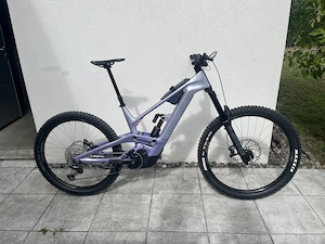 Canyon Torque ON CF8  Bild 2