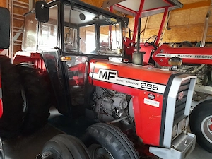 Zugmaschine Massey Ferguson 255 Bild 2