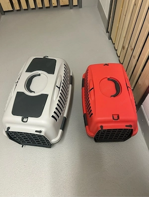 2 Tiertransportboxen  Bild 5