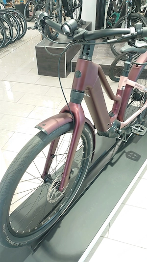 Neu E-Bike für Mädchen Bild 4
